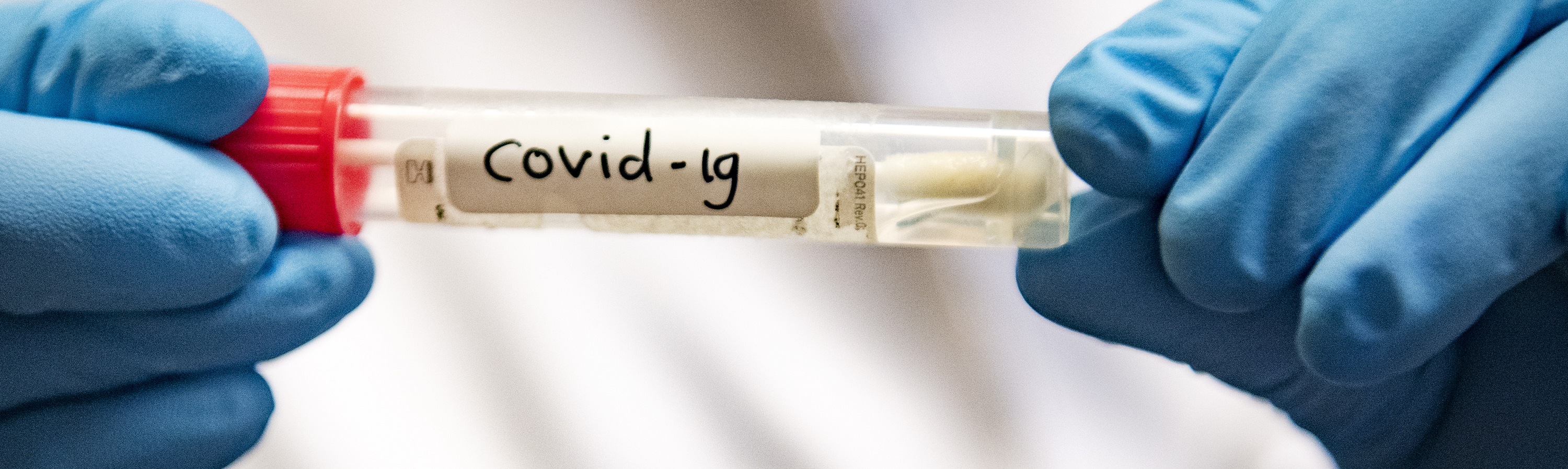 header-covid-3
