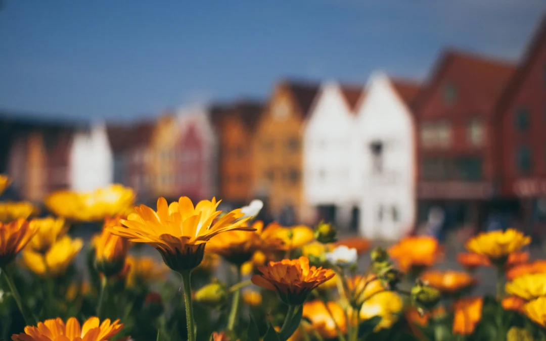 Staatssecretaris Hans Vijlbrief: “Huizen veilig maken moet sneller”