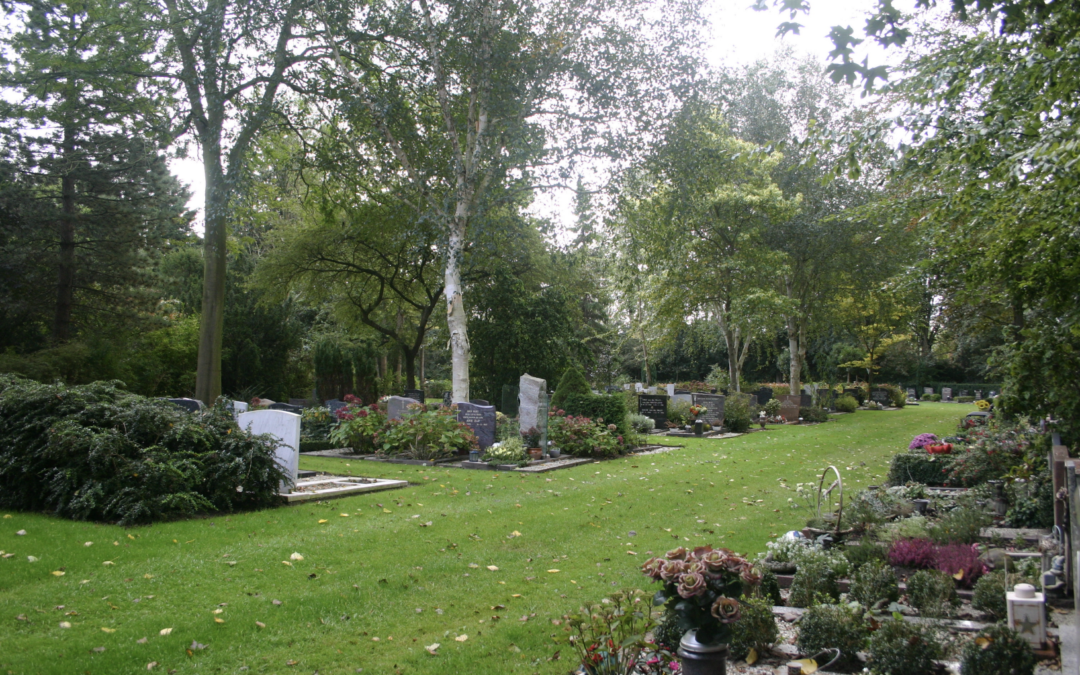 15 januari lichtjesavond bij begraafplaats Krusemanlaan