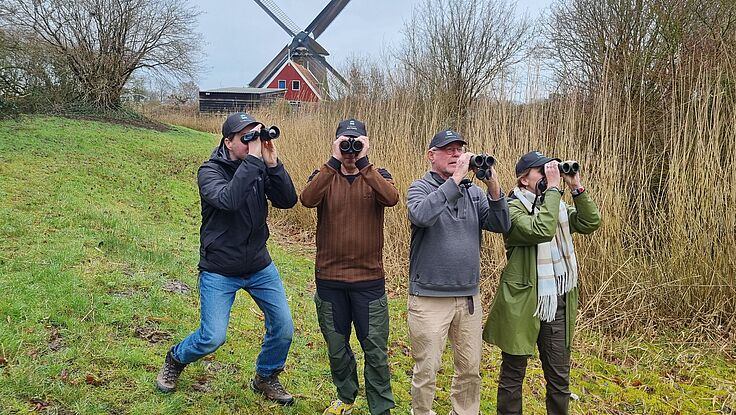 csm_vleermuizen_5005061c6d